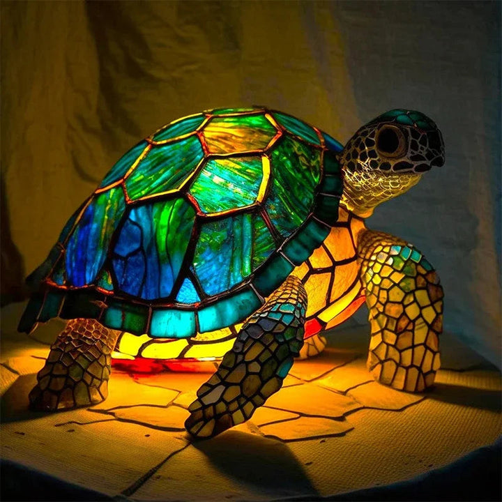 The Essence of the Molokai Turtle